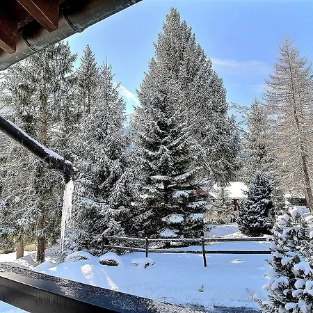 Chalet Nirvana Holiday home
